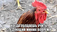  когда обещаешь учить следующий миник вовремя