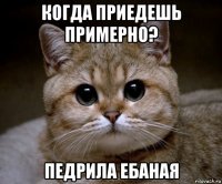 когда приедешь примерно? педрила ебаная