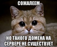 сожалеем но такого домена на сервере не существует