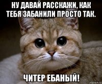 ну давай расскажи, как тебя забанили просто так. читер ебаный!