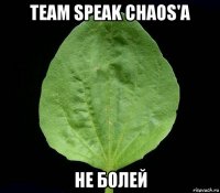 team speak chaos'a не болей