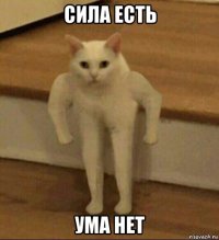 сила есть ума нет