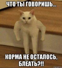 что ты говоришь... корма не осталось, блеать?!!