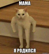 мама я родился