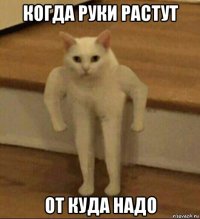 когда руки растут от куда надо