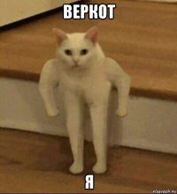 веркот я