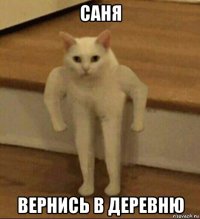 саня вернись в деревню