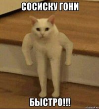 сосиску гони быстро!!!