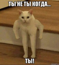 ты не ты когда... ты!