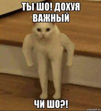 ты шо! дохуя важный чи шо?!