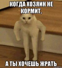 когда хозяин не кормит, а ты хочешь жрать