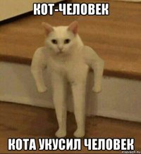 кот-человек кота укусил человек