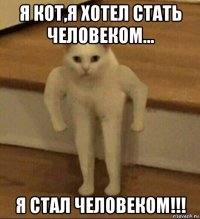 я кот,я хотел стать человеком... я стал человеком!!!