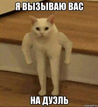 я вызываю вас на дуэль