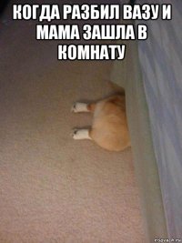когда разбил вазу и мама зашла в комнату 
