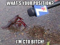 what's your position? i'm cto bitch!