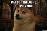 мы обязательно встретимся 