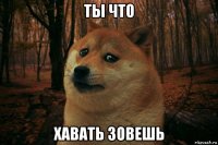 ты что хавать зовешь