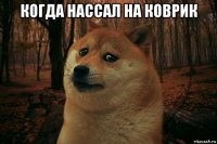 когда нассал на коврик 