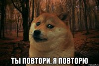  ты повтори, я повторю