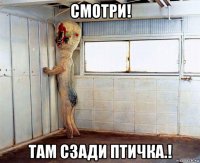 смотри! там сзади птичка.!