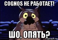 cognos не работает! шо, опять?