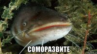  соморазвите