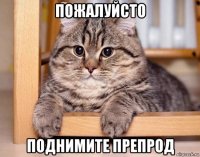 пожалуйсто поднимите препрод