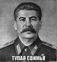  тупая свинья