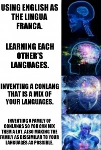 Using English as the lingua franca. Learning each other's languages. Inventing a conlang that is a mix of your languages. Inventing a family of conlangs so you can mix them a lot. Also making the family as dissimilar to your languages as possible.