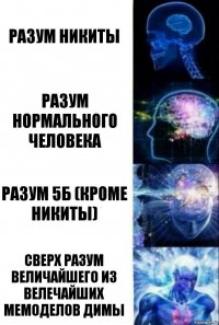 Разум Никиты Разум нормального человека Разум 5Б (кроме Никиты) Сверх разум величайшего из велечайших мемоделов Димы