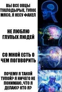 вы все овцы тухлодырые, тупое мясо, я несу факел не люблю глупых людей со мной есть о чем поговорить почему я такой тупой? я ничего не понимаю..что я делаю? кто я?