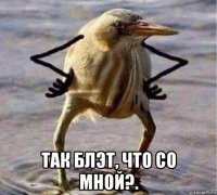  так блэт, что со мной?.