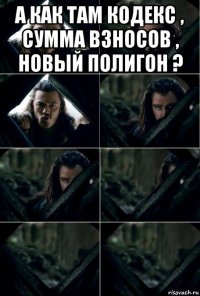 а как там кодекс , сумма взносов , новый полигон ? 