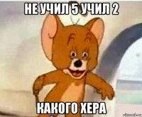 не учил 5 учил 2 какого хера