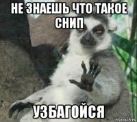не знаешь что такое снип узбагойся