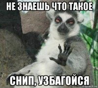 не знаешь что такое снип, узбагойся