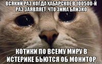 всякий раз когда хабарское в 100500-й раз заявляет, что зима близко котики по всему миру в истерике бьются об монитор