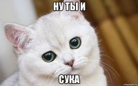 ну ты и сука