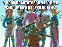 долой плантаторов чародеев, сейлор мун и гарри поттера 