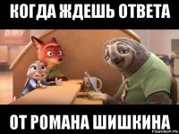 когда ждешь ответа от романа шишкина