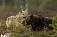 Создать мем Братья по крови