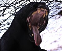 Создать мем Человек должен быть сильнее своих воспоминаний