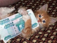 Создать мем Деньги МОИИИ