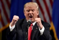 Создать мем Donald Trump is angry