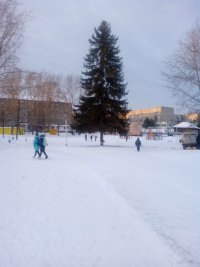 Создать мем Ель