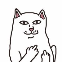 Создать мем Котик мемик