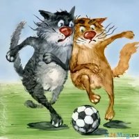 Коты с мячом