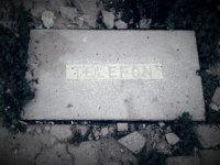 Создать мем Rip phone