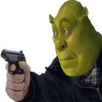 журналюга ты ты знаеш кто я? доцент!!! просто доцент кива, Мем Шрек с пестикам